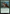 Maraleaf Rider [Foundations Jumpstart] - Magic: The Gathering - Card Brawlers | Quebec | Canada |