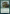 Venom Sliver [Commander Masters] - Magic: The Gathering - Card Brawlers | Quebec | Canada |