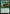 Eager Trufflesnout [Foundations] - Card Brawlers