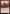 Brash Taunter [Duskmourn: House of Horror Commander] - Magic: The Gathering - Card Brawlers | Quebec | Canada |