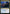 Disinformation Campaign [Guilds of Ravnica] - Magic: The Gathering - Card Brawlers | Quebec | Canada |