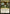 Fabled Passage (Promo Pack) [Core Set 2021 Promos] - Magic: The Gathering - Card Brawlers | Quebec | Canada |