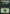 Forest (249) [Magic 2014] - Magic: The Gathering - Card Brawlers | Quebec | Canada |