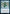 Symmetry Sage [Strixhaven: School of Mages] - Magic: The Gathering - Card Brawlers | Quebec | Canada |
