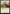 Plains (335) [Starter Commander Decks] - Magic: The Gathering - Card Brawlers | Quebec | Canada |