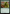 Giant Growth [Foundations Jumpstart] - Magic: The Gathering - Card Brawlers | Quebec | Canada |