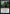 Hunt for Specimens [Strixhaven: School of Mages] - Magic: The Gathering - Card Brawlers | Quebec | Canada |
