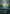 Misty Rainforest (Borderless) (Dragonscale Foil) [Tarkir: Dragonstorm Special Guests] - Magic: The Gathering - Card Brawlers | Quebec | Canada |