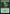 Forest (467) [Commander Legends: Battle for Baldur's Gate] - Magic: The Gathering - Card Brawlers | Quebec | Canada |