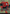 Arachnogenesis (Borderless) [Marvel Universe: Eternal-Legal] - Magic: The Gathering - Card Brawlers | Quebec | Canada |
