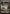 Swamp (262) (Full Art) [Battle for Zendikar] - Magic: The Gathering - Card Brawlers | Quebec | Canada |