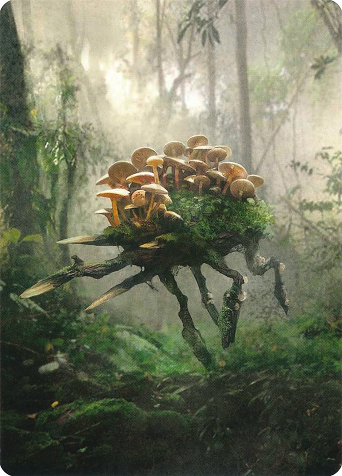 Saproling // Saproling Double-Sided Token [Unstable Tokens] - Magic: The Gathering - Card Brawlers | Quebec | Canada |