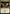 Maestros Diabolist (Promo Pack) [Streets of New Capenna Promos] - Magic: The Gathering - Card Brawlers | Quebec | Canada |