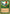 Birds of Paradise (Brian Kibler) [World Championship Decks 2002] - Magic: The Gathering - Card Brawlers | Quebec | Canada |