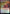 Storm King's Thunder [Commander Legends: Battle for Baldur's Gate Prerelease Promos] - Magic: The Gathering - Card Brawlers | Quebec | Canada |