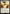 Cleansing Nova [FINAL FANTASY Commander] - Magic: The Gathering - Card Brawlers | Quebec | Canada |