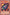 Bombardment Beetle [PSV-EN087] Common - Yu-Gi-Oh! - Card Brawlers | Quebec | Canada |