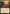 Command Tower (272) [Warhammer 40,000] - Magic: The Gathering - Card Brawlers | Quebec | Canada |