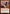 Marauding Raptor (Promo Pack) [Core Set 2020 Promos] - Magic: The Gathering - Card Brawlers | Quebec | Canada |
