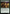 Setessan Champion [Commander Masters] - Magic: The Gathering - Card Brawlers | Quebec | Canada |