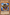 Big Shield Gardna (Blue) [DL09-EN004] Rare - Yu-Gi-Oh! - Card Brawlers | Quebec | Canada |
