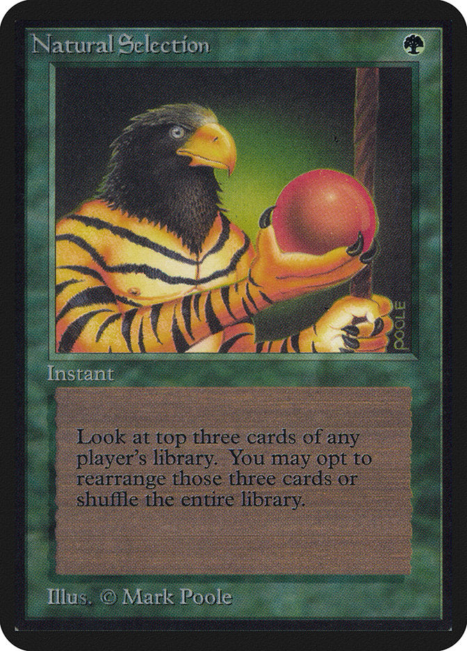 Natural Selection [Alpha Edition] - Magic: The Gathering - Card Brawlers | Quebec | Canada |