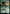 Emerald Dragon // Dissonant Wave [Commander Legends: Battle for Baldur's Gate] - Magic: The Gathering - Card Brawlers | Quebec | Canada |