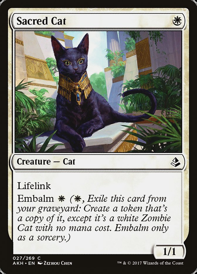 Sacred Cat [Amonkhet] - Magic: The Gathering - Card Brawlers | Quebec | Canada |