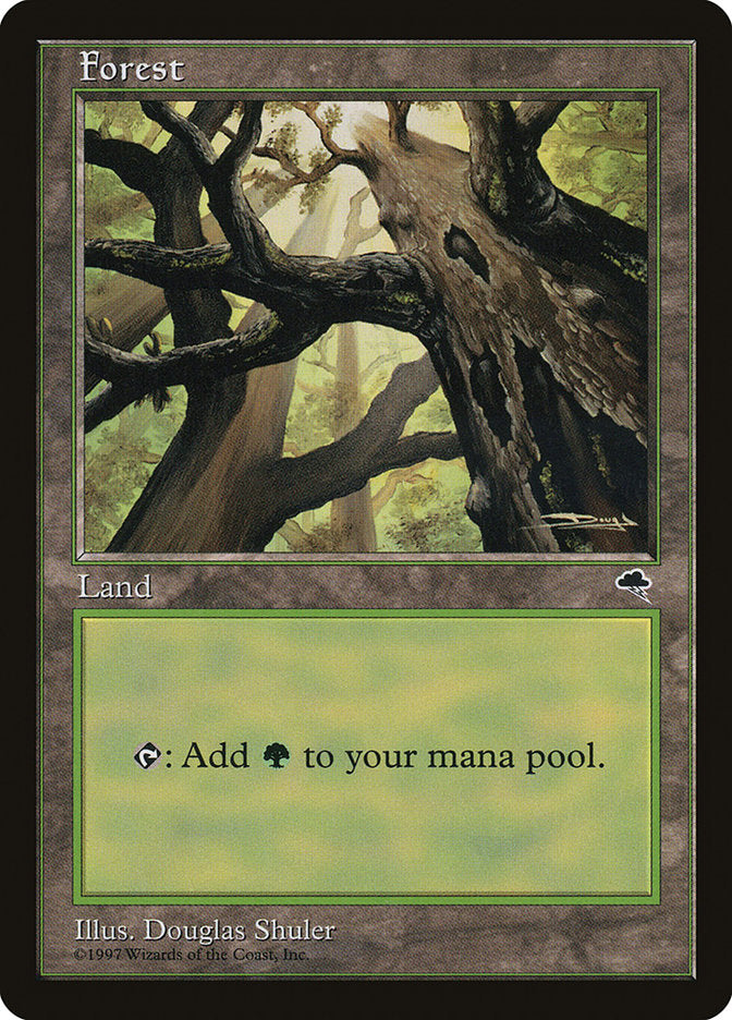 Forest (Looking from Below) [Tempest] - Magic: The Gathering - Card Brawlers | Quebec | Canada |