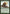 Gamekeeper [Conspiracy] - Magic: The Gathering - Card Brawlers | Quebec | Canada |