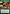 Muscle Sliver (Extended Art) [Secret Lair Drop Promos] - Magic: The Gathering - Card Brawlers | Quebec | Canada |