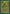 Moss Monster [Legends] - Magic: The Gathering - Card Brawlers | Quebec | Canada |