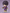 Good Smile - Nendoroid Shinsuke Takasugi - (PREORDER) December 15, 2026