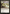 Aether Snap [The List] - Magic: The Gathering - Card Brawlers | Quebec | Canada |