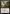 Sultai Runemark [Mystery Booster] - Magic: The Gathering - Card Brawlers | Quebec | Canada |