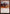 Trumpet Blast [Battlebond] - Magic: The Gathering - Card Brawlers | Quebec | Canada |