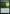 Wall of Roots [Streets of New Capenna Commander] - Magic: The Gathering - Card Brawlers | Quebec | Canada |