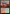 Sheltered Thicket [Secret Lair: From Cute to Brute] - Magic: The Gathering - Card Brawlers | Quebec | Canada |