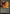 Unwanted Remake (Showcase) [Duskmourn: House of Horror] - Magic: The Gathering - Card Brawlers | Quebec | Canada |