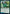 Kianne, Dean of Substance // Imbraham, Dean of Theory [Strixhaven: School of Mages Prerelease Promos] - Magic: The Gathering - Card Brawlers | Quebec | Canada |