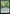 Green Sun's Twilight (Promo Pack) [Phyrexia: All Will Be One Promos] - Magic: The Gathering - Card Brawlers | Quebec | Canada |