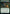 Ecological Appreciation [Strixhaven: School of Mages] - Magic: The Gathering - Card Brawlers | Quebec | Canada |