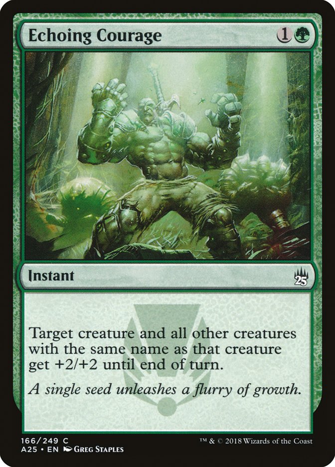 Echoing Courage [Masters 25] - Magic: The Gathering - Card Brawlers | Quebec | Canada |