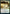 Harness Infinity (Promo Pack) [Strixhaven: School of Mages Promos] - Magic: The Gathering - Card Brawlers | Quebec | Canada |