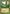 Birds of Paradise (Sim Han How) [World Championship Decks 2002] - Magic: The Gathering - Card Brawlers | Quebec | Canada |