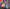 Pokemon TCG: Scarlet & Violet - Paldean Fates - Tech Sticker Collection (Fidough) - The Pokemon Company - Card Brawlers | Quebec | Canada |