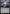 Swamp (2020) [MagicFest 2020] - Magic: The Gathering - Card Brawlers | Quebec | Canada |