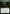 Path of Discovery [Rivals of Ixalan Prerelease Promos] - Magic: The Gathering - Card Brawlers | Quebec | Canada |