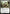 Axis of Mortality [Ixalan Prerelease Promos] - Magic: The Gathering - Card Brawlers | Quebec | Canada |
