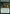 Ecological Appreciation [Strixhaven: School of Mages Prerelease Promos] - Magic: The Gathering - Card Brawlers | Quebec | Canada |
